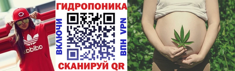 Бошки Шишки VHQ  blacksprut зеркало  Суоярви 